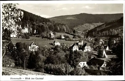 Ak Bad Herrenalb im Schwarzwald, Blick ins Gaistal