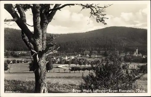 Ak Bayerisch Eisenstein im Bayrischen Wald, Teilansicht