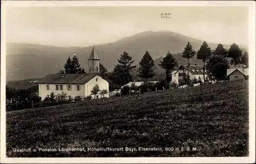 Ak Bayerisch Eisenstein, Gasthof u. Pension Lärchenhof