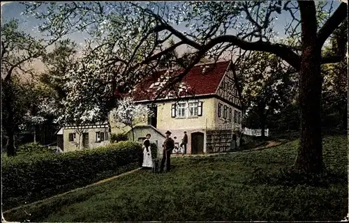 Ak Lichtenberg Fischbachtal im Odenwald, Forsthaus Hütte Kernbach, Gartenansicht, Baumblüte