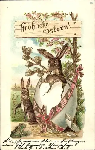 Präge Litho Glückwunsch Ostern, Osterhase, Osterei, Weidenkätzchen, Frosch