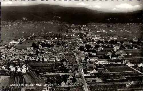 Ak Mußbach Neustadt an der Weinstraße, Fliegeraufnahme