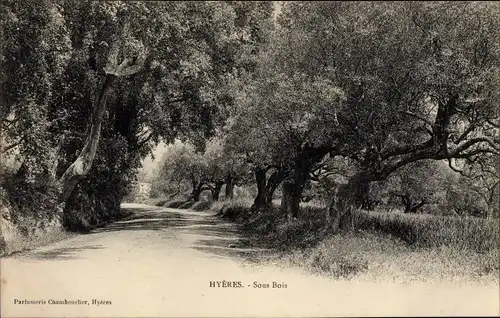 Ak Hyères Var, Sous Bois