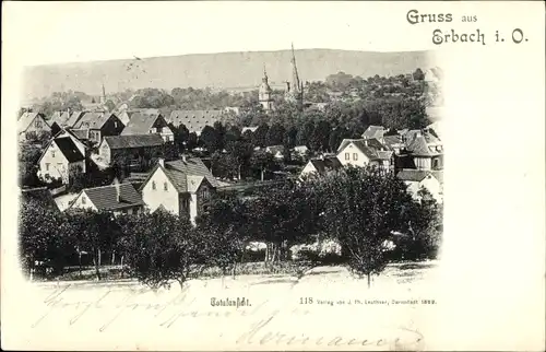 Ak Erbach im Odenwald Hessen, Panorama