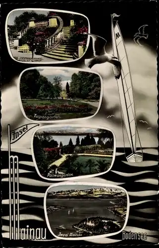 Ak Insel Mainau im Bodensee, Tulpengarten, Rosengarten, Palmengarten, Insel Panorama