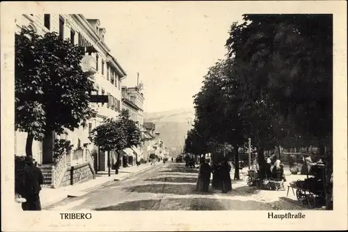 Ak Triberg Schwarzwald, Hauptstraße, Anwohner