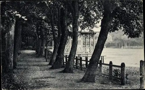 Ak Templin in der Uckermark, Bürgergarten, Lindenallee beim Schützenhaus