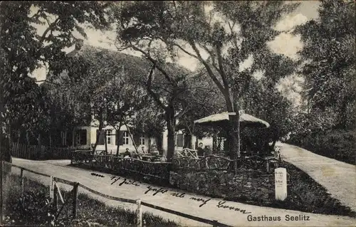 Ak Seelitz in Sachsen, Gasthaus Seelitz