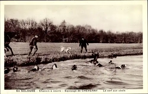 Ak Cheverny Loir et Cher, Sologne, Chasses á courre, Le cerf aux abois