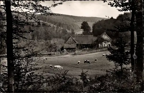 Ak Zell im Odenwald Bad König Odenwald Hessen, Kühe, Schafe, Teilansicht