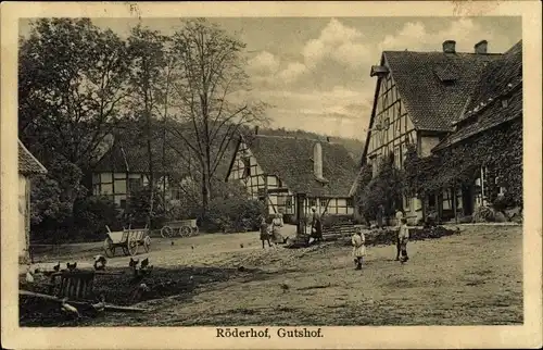 Ak Röderhof Diekholzen in Niedersachsen, Gutshof, Hühner
