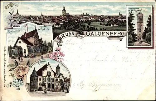 Litho Galgenberg Hildesheim in Niedersachsen, Gesamtansicht, Aussichtsturm, Restaurant, Rathaus