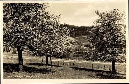 Ak Niederstüter Hattingen an der Ruhr, Am Hackstück, Obstwiese