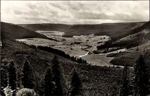 Ak Besenfeld Seewald im Schwarzwald, Landschaftsblick, Wälder