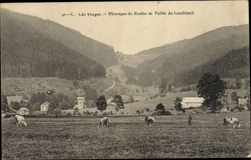 Ak Vosges Frankreich, Paturages du Rudlin, Vallee du Louchbach