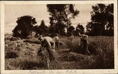 Ak Feldgraue bei der Arbeit, Deutsche Soldaten bei der Getreideernte, 1. WK