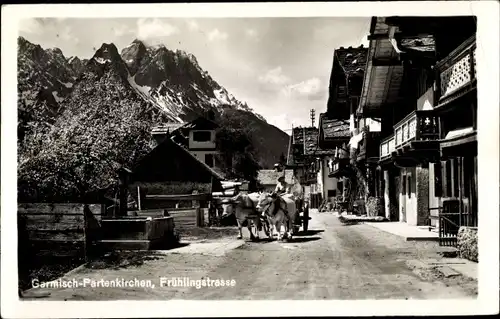 Ak Garmisch Partenkirchen in Oberbayern, Frühlingstraße