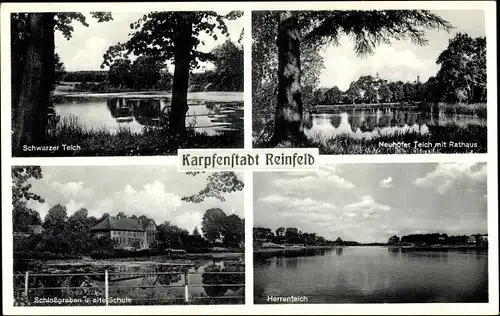 Ak Reinfeld in Holstein, Schwarzer Teich, Neuhöfer Teich mit Rathaus, Schlossgraben u. alte Schule