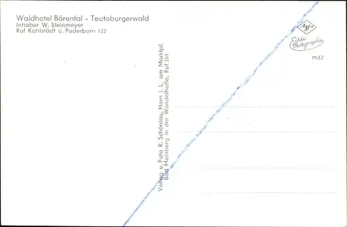 Ak Kohlstädt Schlangen NRW, Waldhotel Bärental, Teutoburger Wald