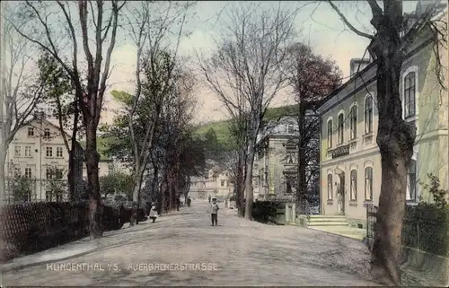 Ak Klingenthal im Vogtland Sachsen, Auerbacher Straße