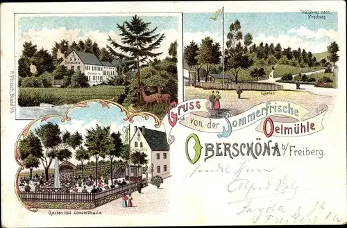 Litho Oberschöna Mittelsachsen, Gasthaus Oelmühle, Garten, Konzerthalle, Waldweg