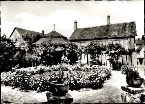 Ak Jugenheim an der Bergstrasse Hessen, Roseneck