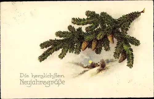Ak Glückwunsch Neujahr, Tannenzweige, Zapfen, Winterlandschaft