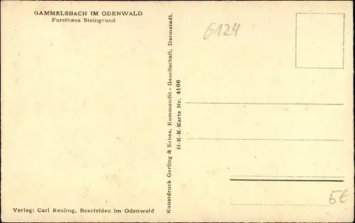 Künstler Ak Gammelsbach Oberzent im Odenwald, Forsthaus Steingrund