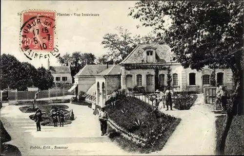 Ak Saumur Maine et Loire, Jardin des Plantes, vue interieure, Gärtner