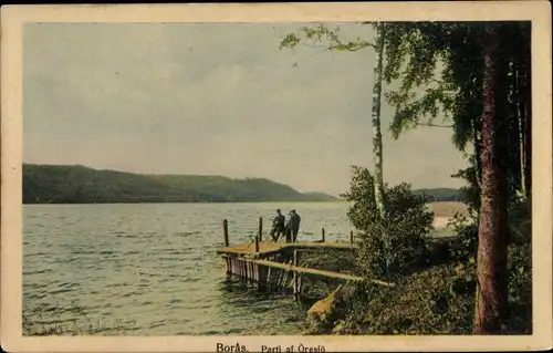Ak Borås Schweden, Parti af Oreslö