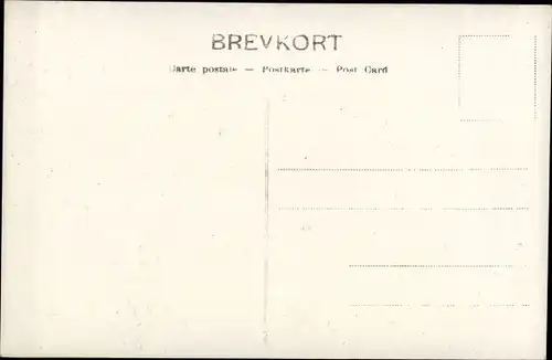 Ak Sogn Norwegen, Udsigt fra Balholmen, Lerdal, Gesamtansicht, Dampfer, Berge, Häuser