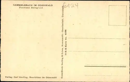 Künstler Ak Gammelsbach Oberzent im Odenwald, Forsthaus Steingrund