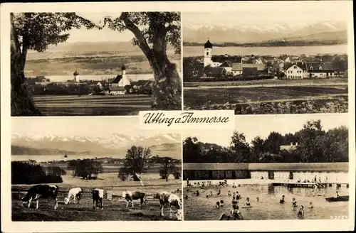 Ak Utting am Ammersee in Oberbayern, Panorama vom Ort, Freibad, Kuhweide