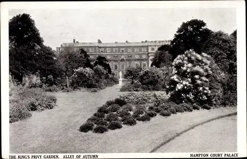 Ak East Molesey London, Hampton Court Palace, The King's Privy Garden