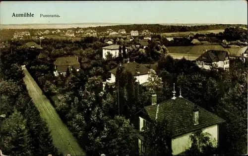 Ak Aumühle im Herzogtum Lauenburg, Blick auf den Ort, Vogelschau
