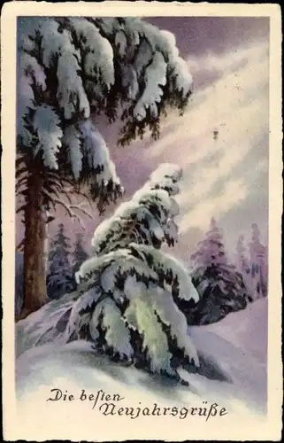 Ak Glückwunsch Neujahr, Winterwald, Tannenbäume