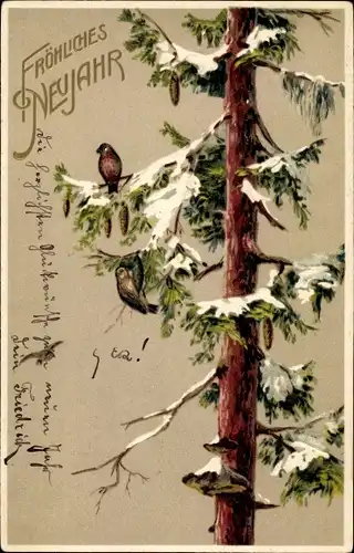 Präge Ak Glückwunsch Neujahr, verschneiter Nadelbaum, Baumstamm, Vögel
