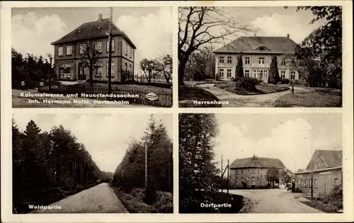 Ak Hartenholm Schleswig Holstein, Herrenhaus, Kolonialwarenhandlung, Waldpartie