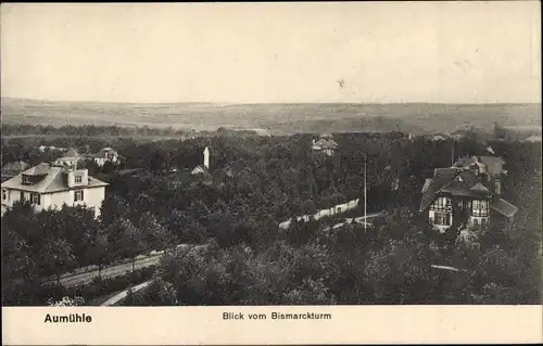 Ak Aumühle im Herzogtum Lauenburg, Blick vom Bismarckturm