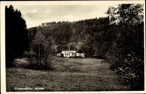 Ak Eisenberg im Saale Holzland Kreis, Waldhaus Froschmühle, Mühltal