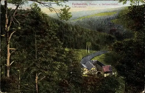 Ak Wünschendorf an der Elster, Fuchsmühle, Wald