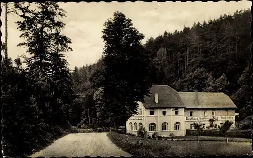 Ak Bad Klosterlausnitz, Gasthaus zur Bockmühle im Zeitzgrund, Wald