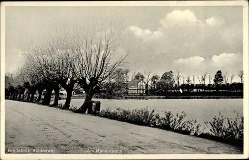 Ak Bredstedt in Nordfriesland, Am Mühlenteich