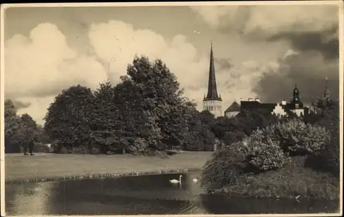 Foto Ak Tallinn Reval Estland, Patkulenlagen, Kirche, Flusspartie, Schwan