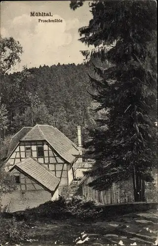 Ak Eisenberg, Blick auf die Froschmühle, Wald