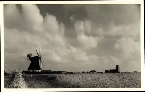 Foto Ak Boldixum Wyk auf Föhr Nordfriesland, Windmühle, Feld