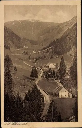 Ak Feldberg im Schwarzwald, St. Wilhelmertal