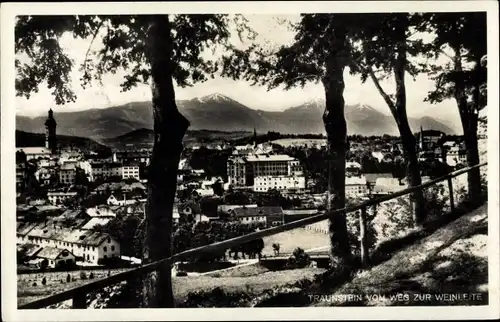 Ak Traunstein in Oberbayern, Panorama, Blick v. Weg zur Weinleite