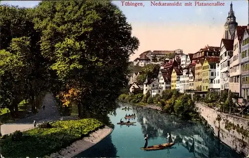 Ak Tübingen am Neckar, Neckaransicht, Plantanenallee