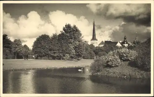 Foto Ak Tallinn Reval Estland, Kirche, Flusspartie, Schwan